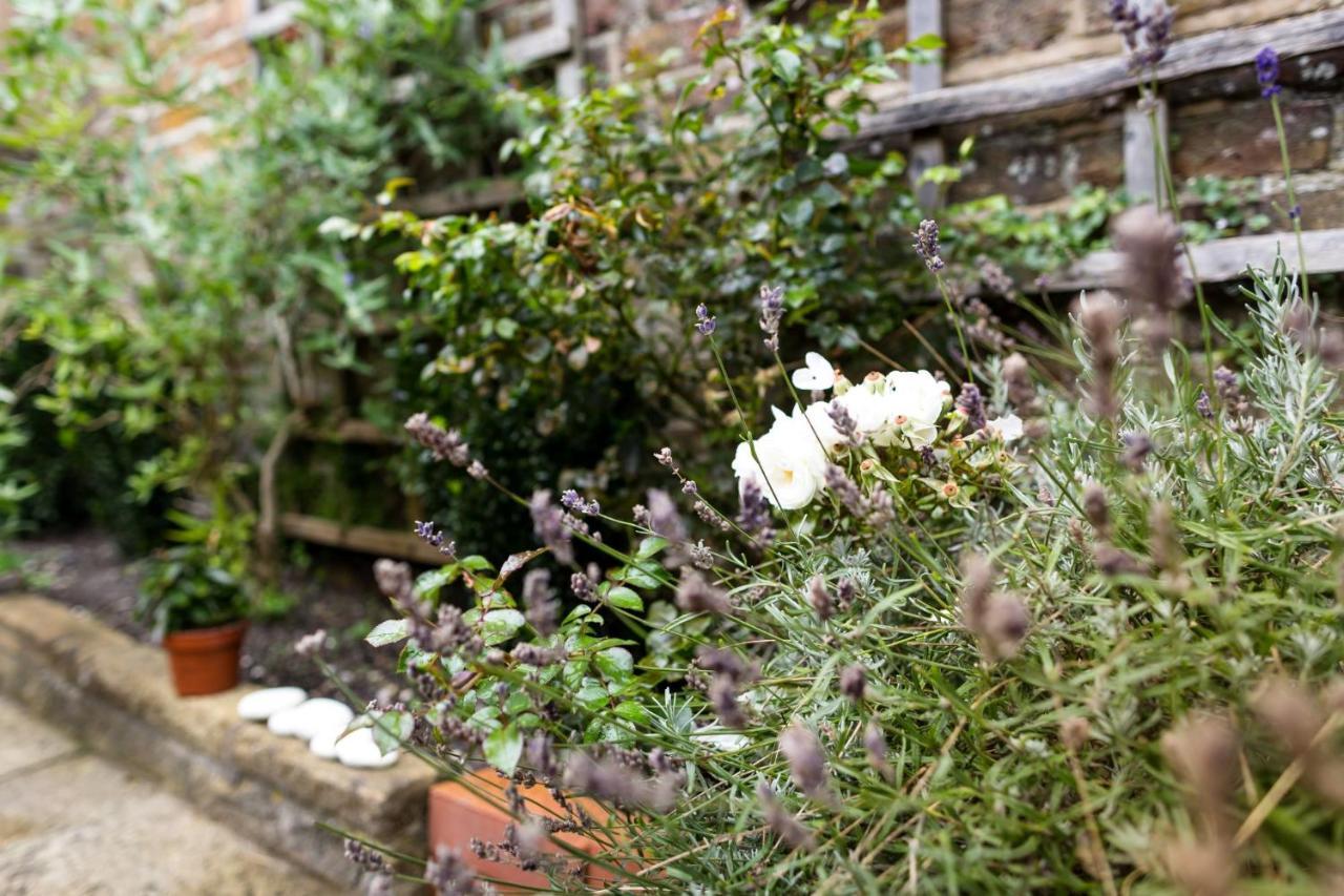 Meads Garden Cottage Close To Sea Eastbourne Eksteriør billede